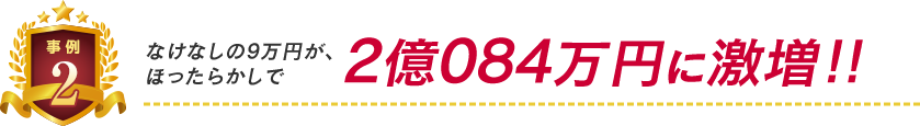 事例2:なけなしのの9万円がほったらかしで2億084万円に激増!