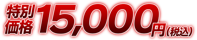 特別価格15,000円(税込)