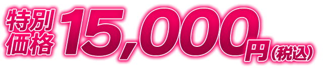 特別価格15,000円(税込)