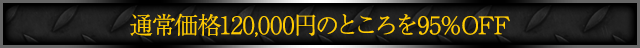 通常価格120,000円のところを95%OFF