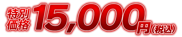 特別価格15,000円(税込)