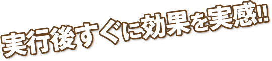実行後すぐに効果を実感!