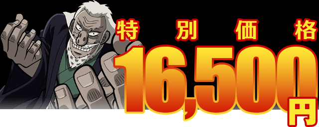 特別価格16,500円