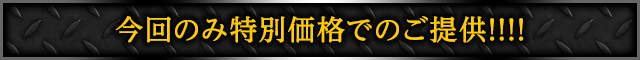 今回のみ特別価格でのご提供!!!!
