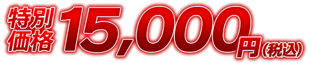 特別価格15,000円(税込)