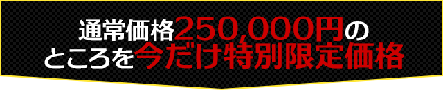 通常価格250,000円のところを今だけ特別限定価格!