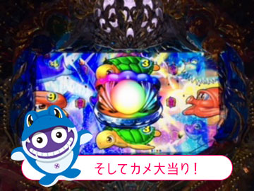 そしてカメ大当り!