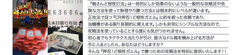 『梅さんど根性打法』は一時的にしか効果のないような一般的な攻略法や危険な方法を使って無理やり勝つ方法とは根本的にレベルが違います。正攻法で且つ『CR押忍!ど根性ガエル』に的を絞った攻略であり、『CR押忍!ど根性ガエル』がある限り長期的に使えます。しかも非常にシンプルな方法なので、攻略法を使っていることすら誰にも気がつかれません。初心者でもラクラク大当たりが引け、膨大なドル箱を積み上げる方法が手に入るとしたら、あなたはどうしますか?そんな「CR押忍!ど根性ガエル」で勝つための攻略法を特別に提供いたします!