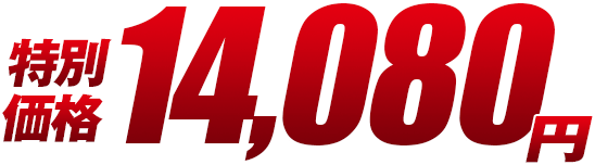 特別価格14,080円