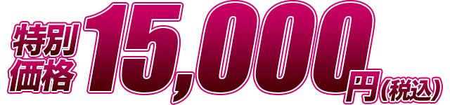 特別価格15,000円(税込)