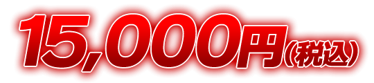 15,000円(税込)
