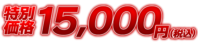 特別価格15,000円(税込)
