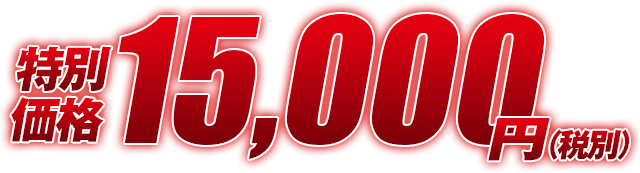 特別価格15,000円(税別)