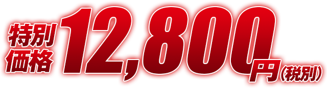 特別価格12,800円(税別)
