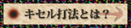 �L�Z���Ŗ@�Ƃ́H