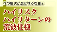 �Ԃ̌c�����I�΂�闝�R2 �u�n�C���X�N�E�n�C���^�[���̍r�g�d�l�v