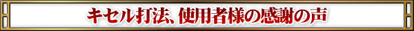 �L�Z���Ŗ@�A�g�p�җl�̊��ӂ̐�