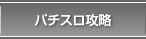 �p�`�X���U��