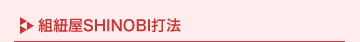 �g�R��SHINOBI�Ŗ@