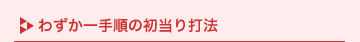 �킸����菇�̏�����Ŗ@