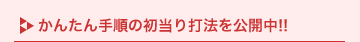 ���񂽂�菇�̏�����Ŗ@�����J���I�I