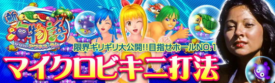 CR新海物語Withアグネス・ラム