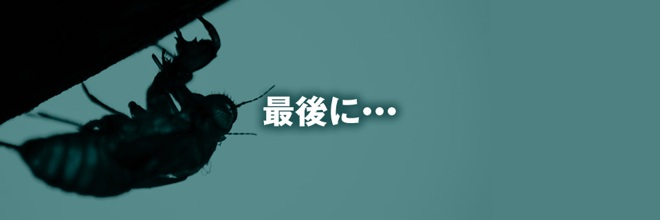 推薦をいただきました