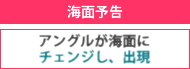 海面予告