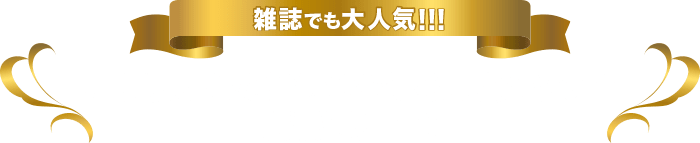 雑誌でも大人気!「毎月安定した給付金を得る最強メソッド」の掲載例(一部)
