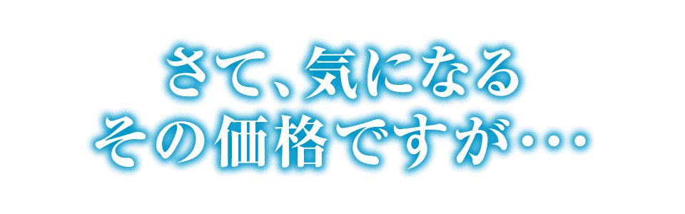 さて、気になるその価格ですが・・・