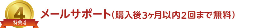 メールサポート(購入後3ヶ月以内2回まで無料)